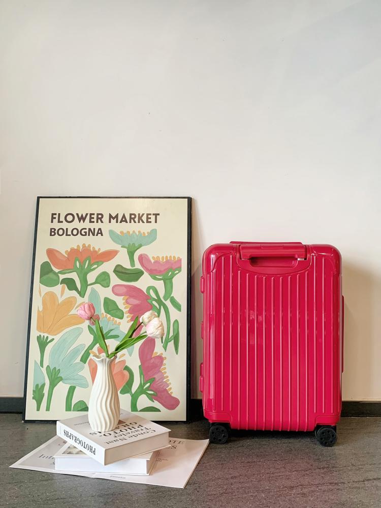 Rimowa Essential Suitcase