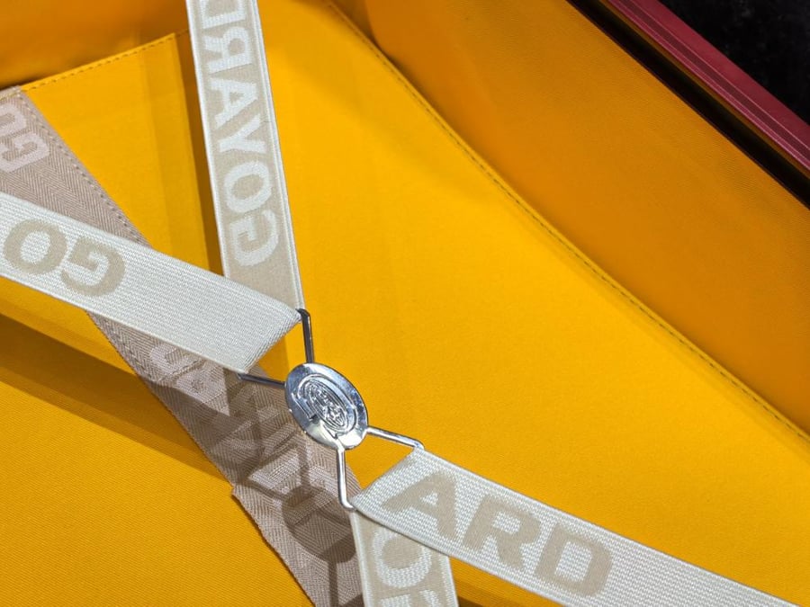 Goyard Bourget PM Trolley Suitcase