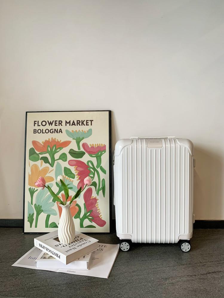 Rimowa Essential Suitcase