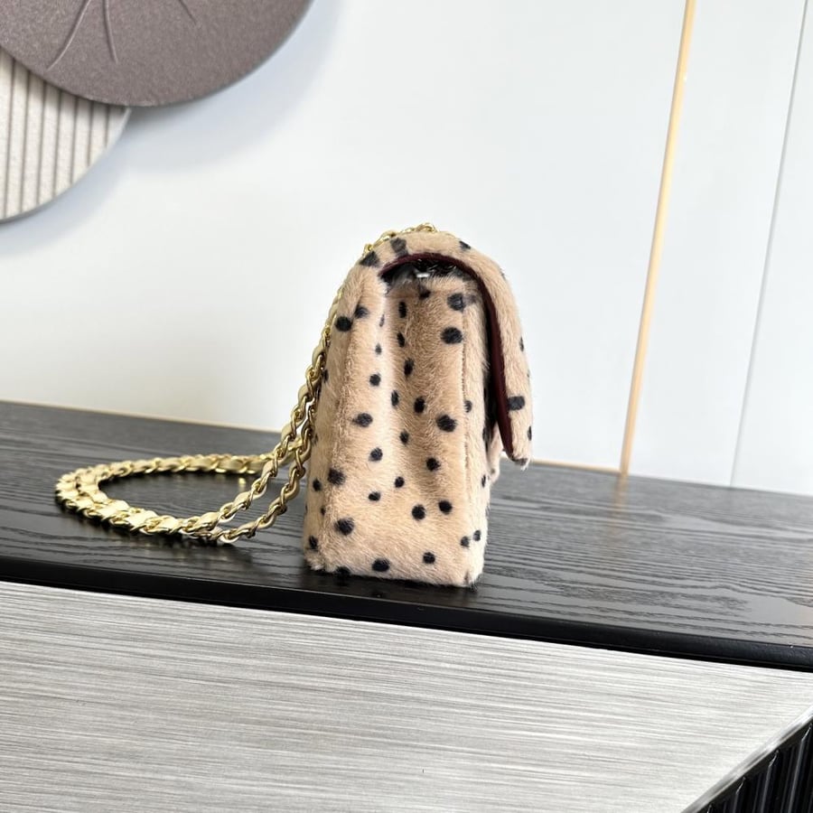 Chanel 26S Globe Collector's Bag