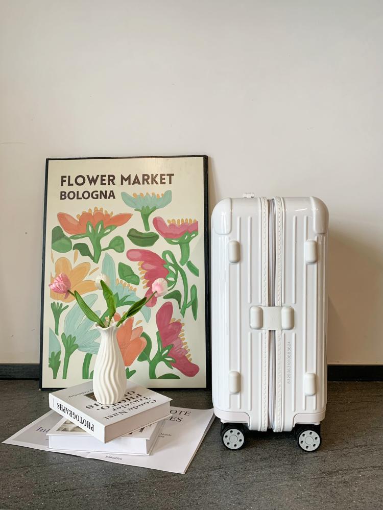 Rimowa Essential Suitcase