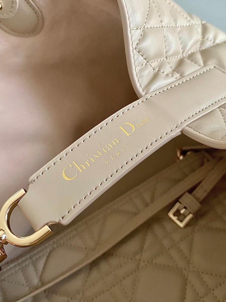 Dior Toujours Medium Bag