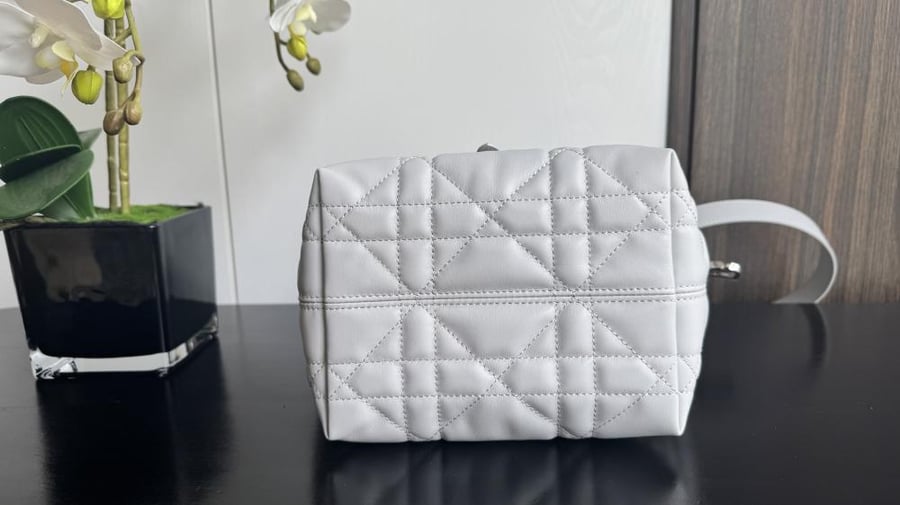 Dior Toujours Vertical Small Bag