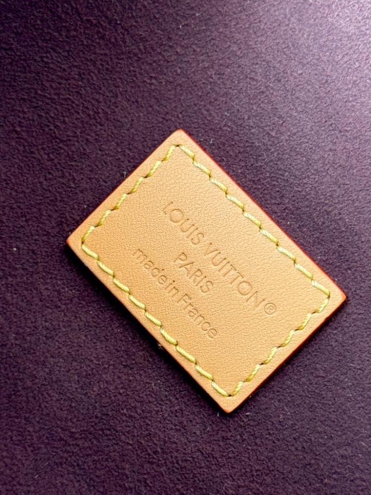 Louis Vuitton Wallet On Chain Ivy / WOC Ivy in Monogram Canvas