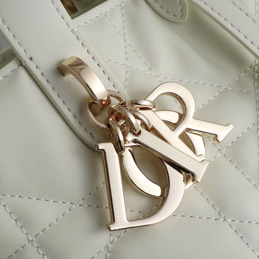 Dior Toujours Vertical Small Bag