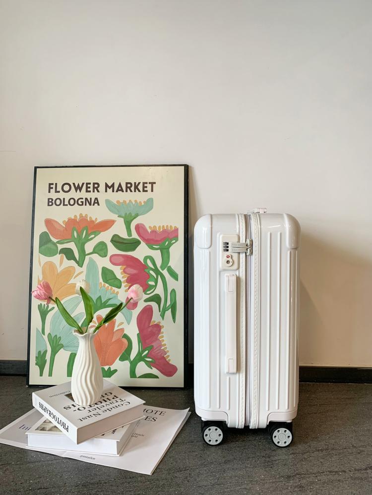 Rimowa Essential Suitcase