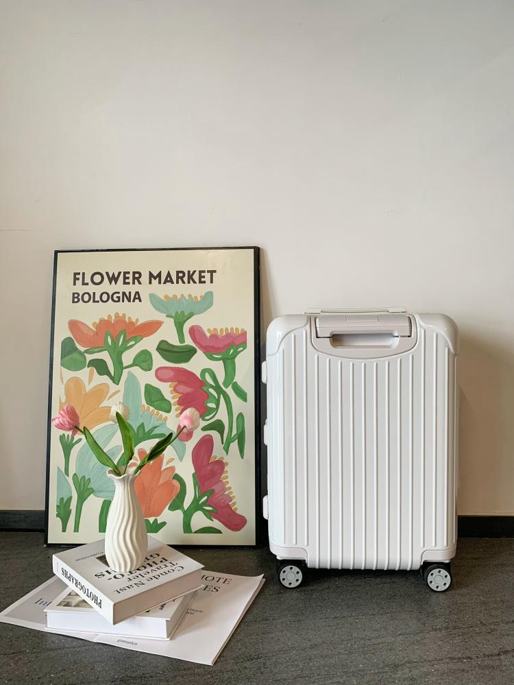 Rimowa Essential Suitcase