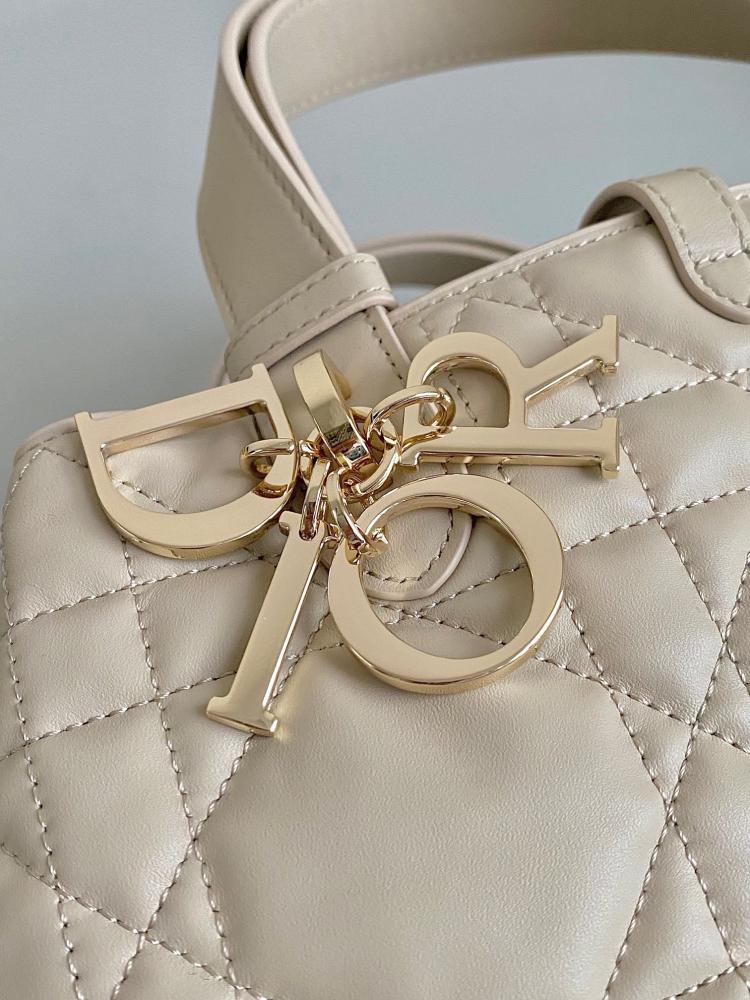 Dior Toujours Medium Bag