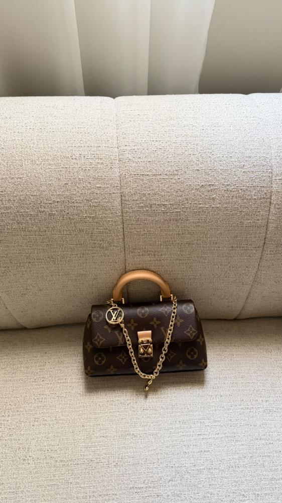 LV bag 22