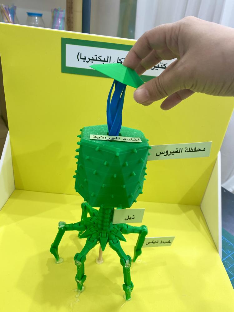 مجسم احياء
