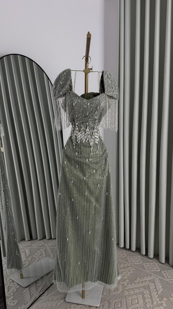 Hams Silver Dress