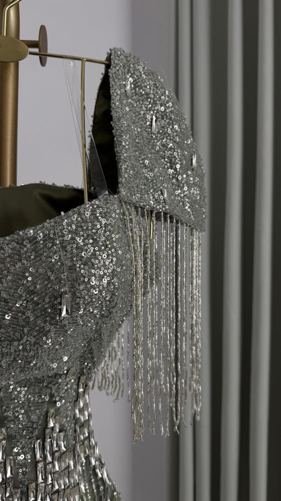 Hams Silver Dress