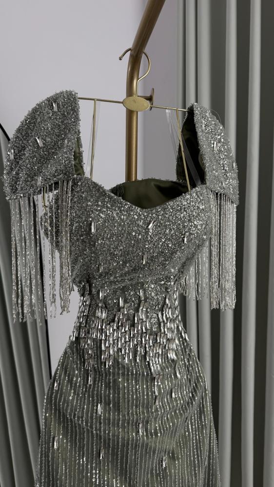 Hams Silver Dress
