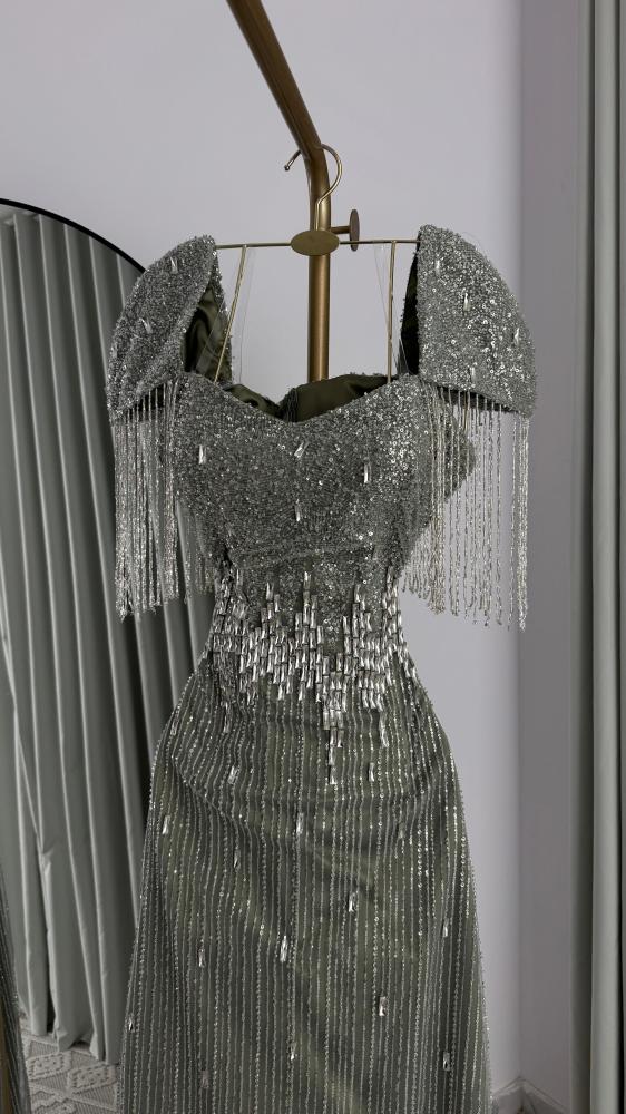 Hams Silver Dress