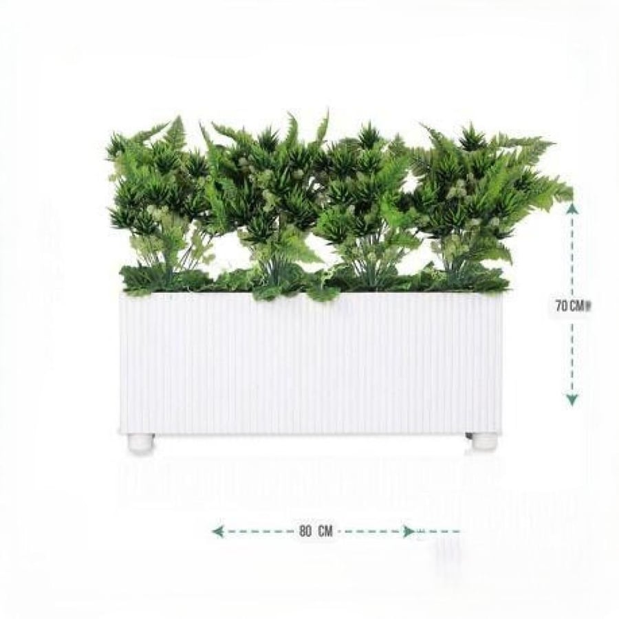 Green seedling, rectangular striped wooden pot, 80 cm