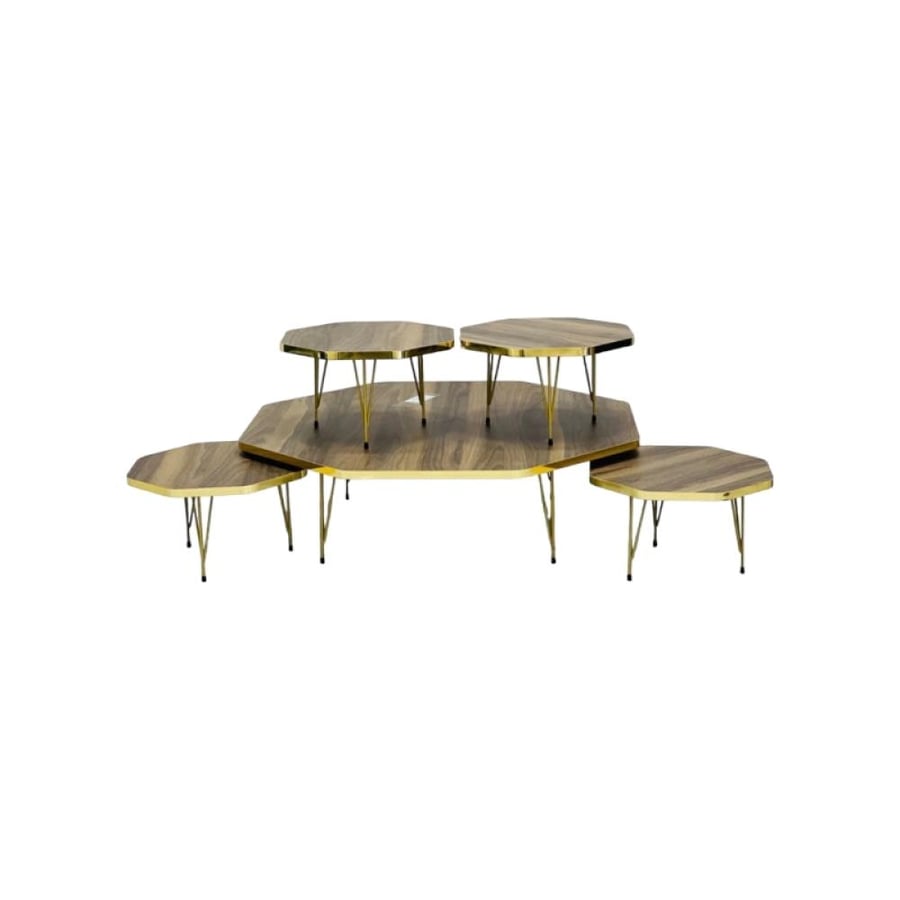 Set of 5 wooden ground coffee tables