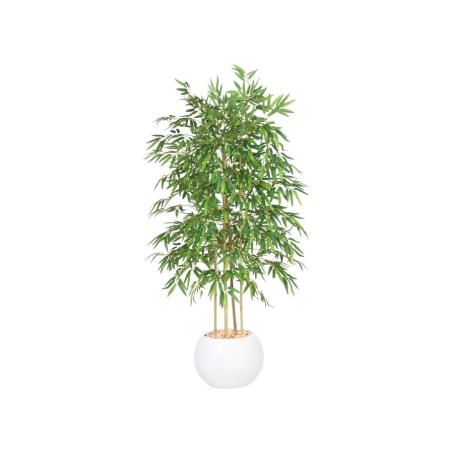 Bamboo tree 4 branches plastic basin 160 cm