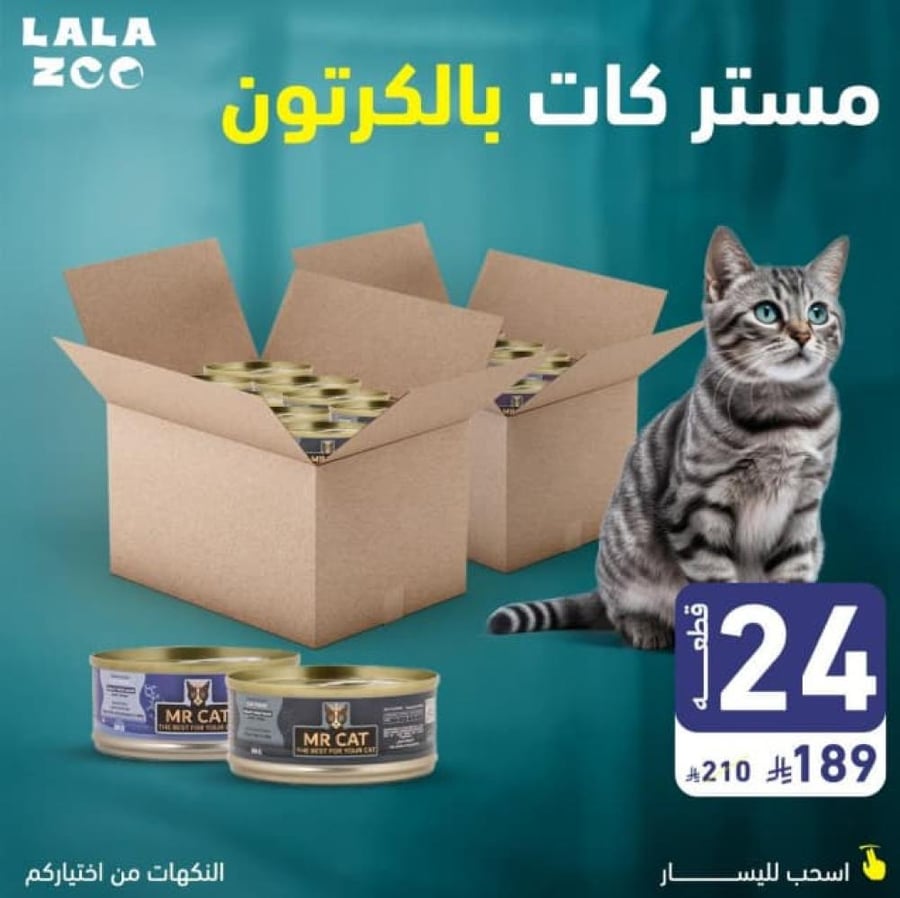 الطعام الرطب للقطط
