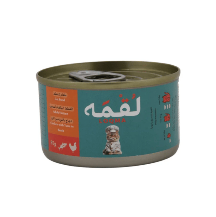اكل قطط لقمة
