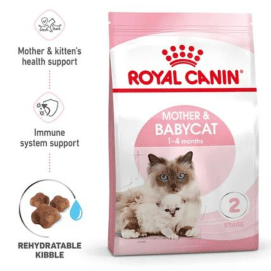 Royal Canin - dry food for the mother cat and her kittens