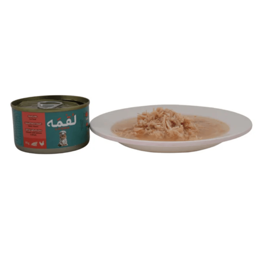 وجبة قطط