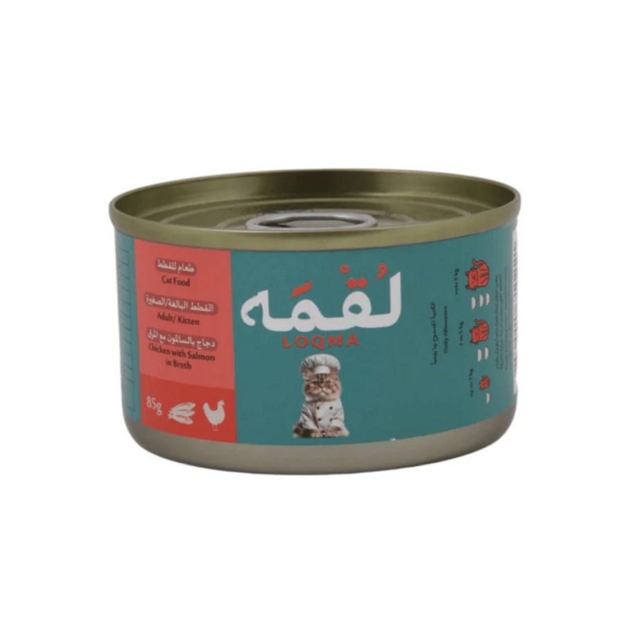 وجبة قطط