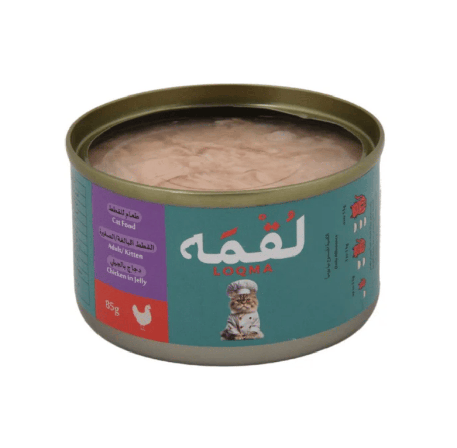 اكل قطط بالدجاج رطب