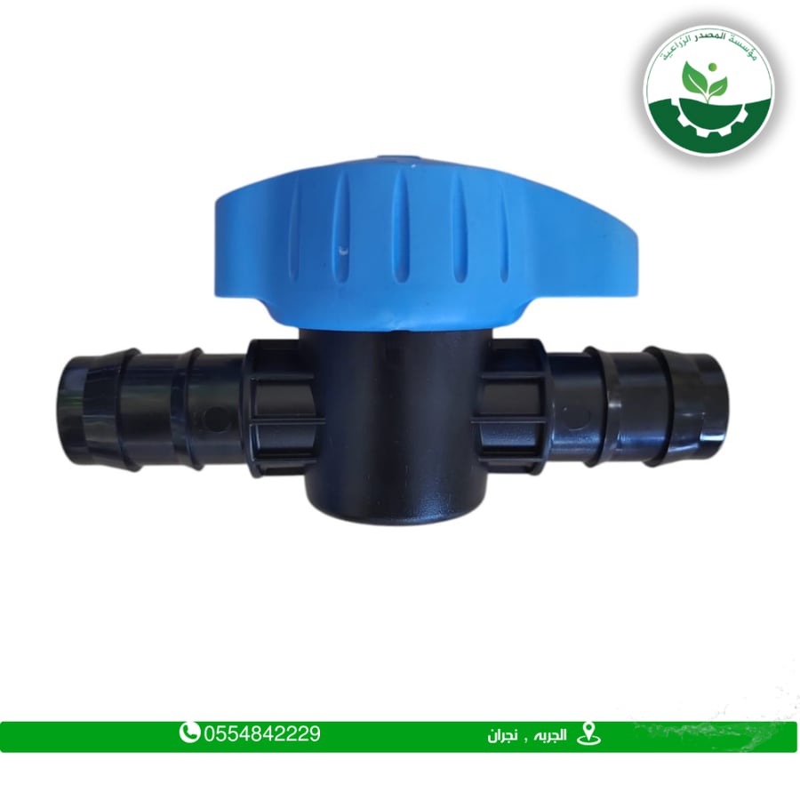 Blue Italian 1-inch ball valve