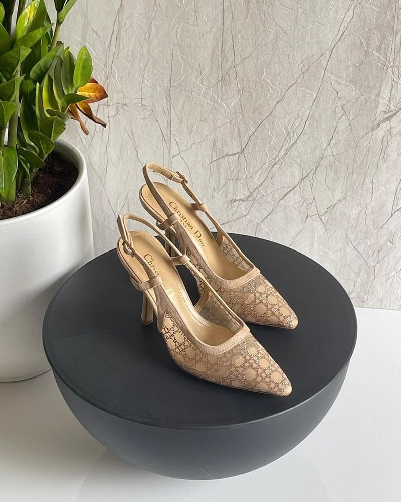كعب  ديور شفاف أنيق – Dior