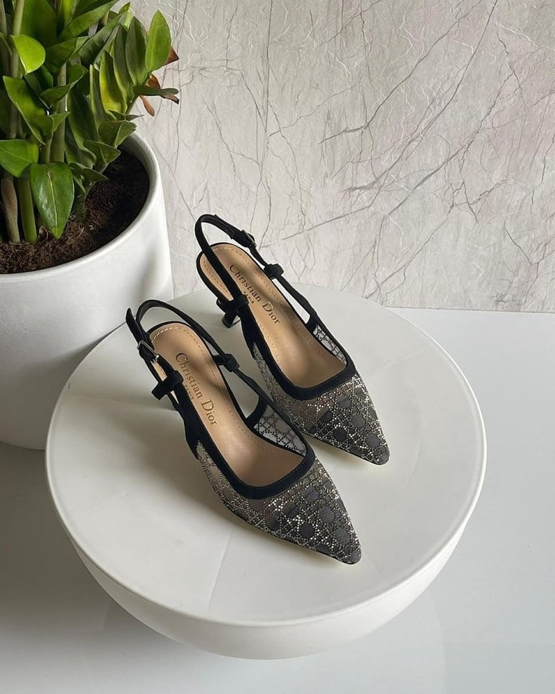 كعب  ديور شفاف أنيق – Dior