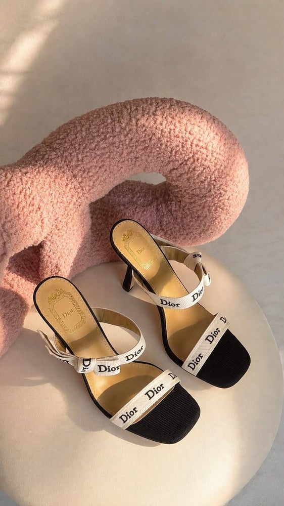 كعب ديور  بسيور مطرزة باسم البراند Dior