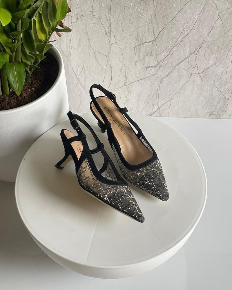 كعب  ديور شفاف أنيق – Dior