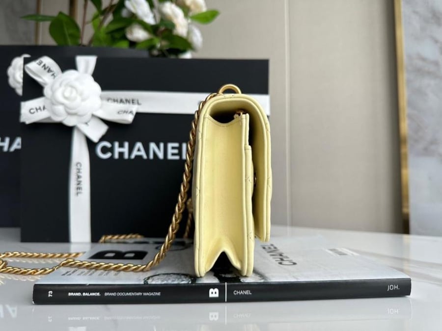 شانيل مقاس 19 cm