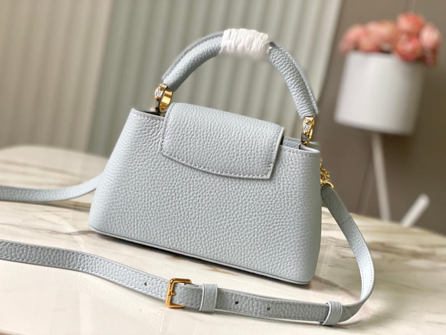 لوي فيتون مقاس 22/12 cm