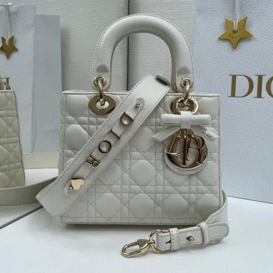 Lady Dior size 20 cm