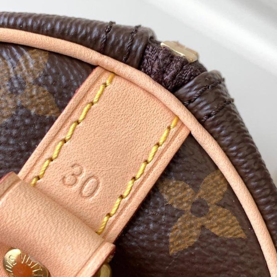 Louis Vuitton size 30 cm
