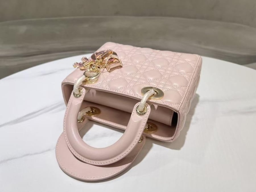 Lady Dior size 20 cm