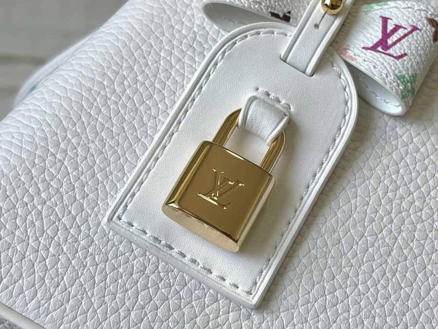Louis Vuitton size 27 cm