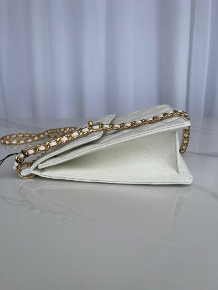 Chanel size 20 cm