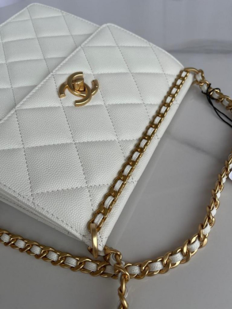 Chanel size 20 cm