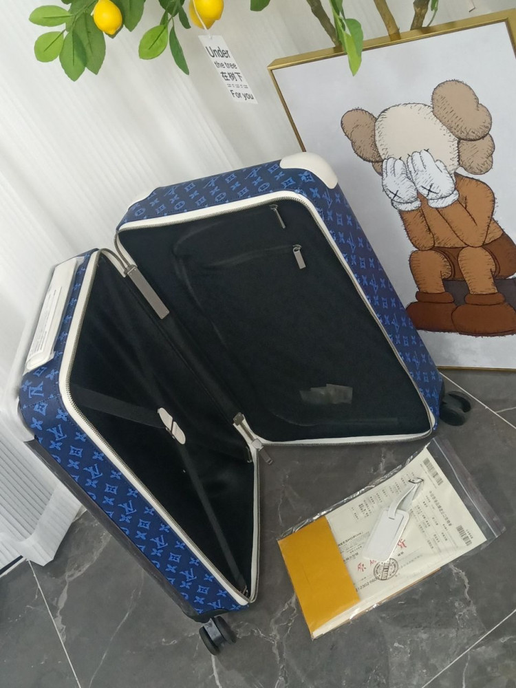 Louis Vuitton travel bag 55