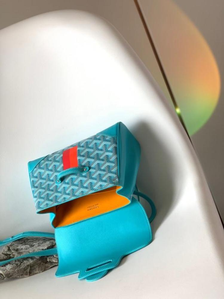Goyard size 20 cm