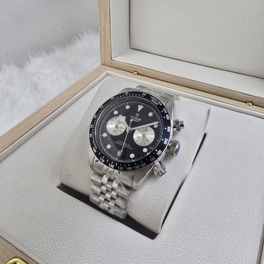 The men's Tudor watch