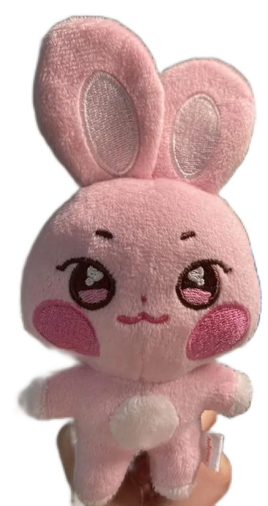 ميدالية 10cm  ANITEEZ ( seonghwa )