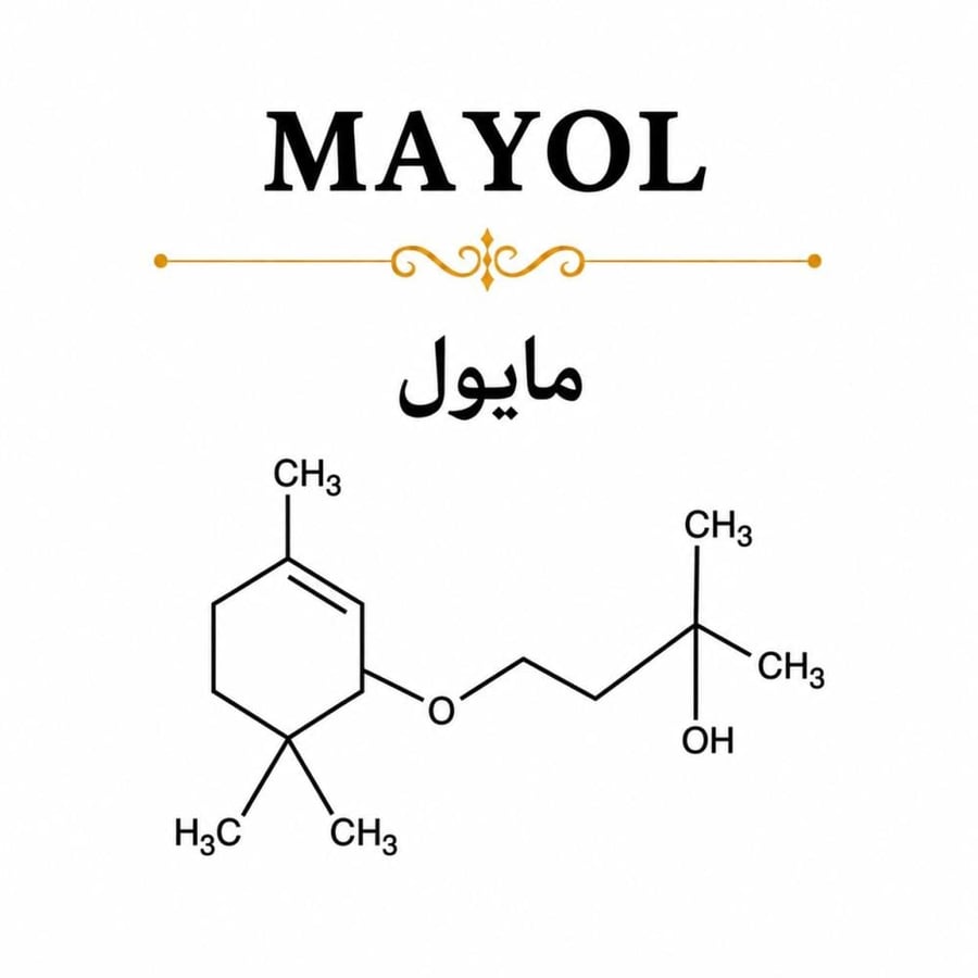 MAYOL (مايول)