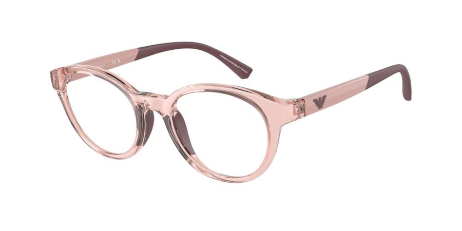 EMPORIO.ARMANI 3205 46 5544 FR