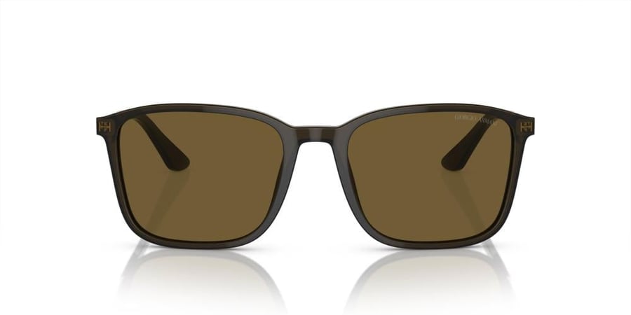 GIORGIO.ARMANI 8197 55 5030.73 SG