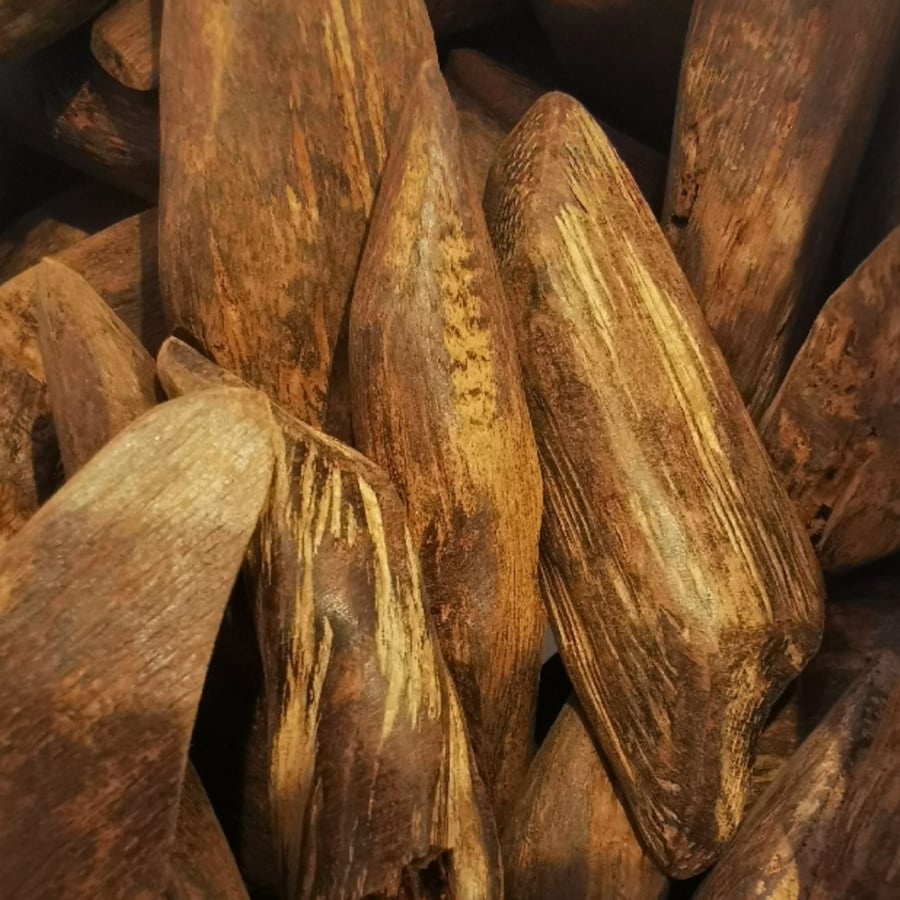 "الشعب" عود طبيعي محسن