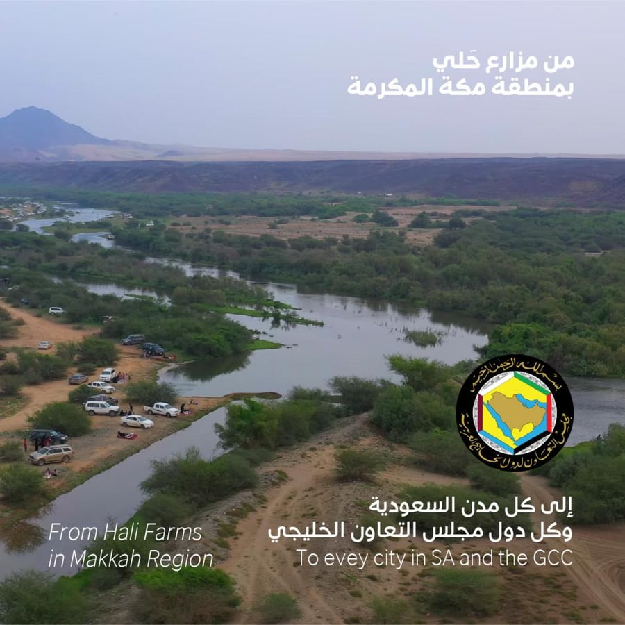 50 حبة من السواك العصري
