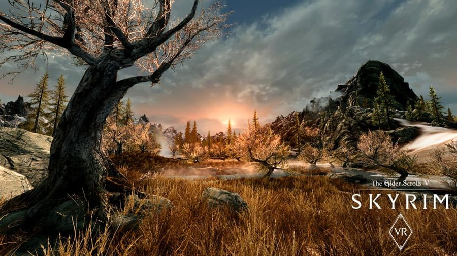 - The Elder Scrolls V Skyrim V